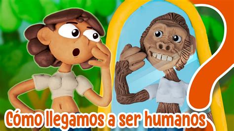 Cómo evolucionó el Homo sapiens YouTube