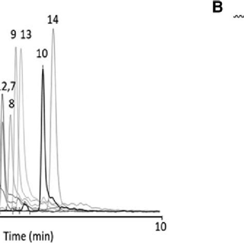 A Reverse Phase Hplc Chromatogram Of Coinjected Oligonucleotides