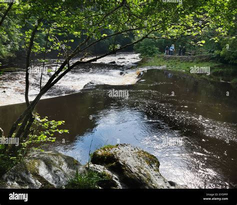 United Kingdom, River Roe or Red River running through Roe Valley ...