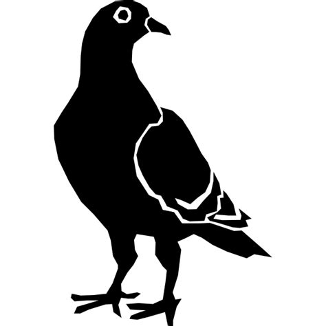 Pigeon Svg