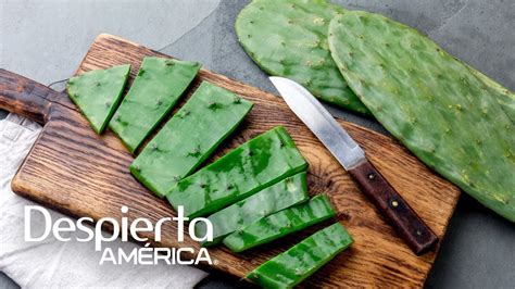 Beneficios Del Nopal Para La Diabetes