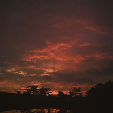 The Sky Is Red And Orange As It Sets In The Distance With Trees