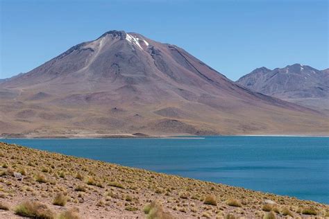 Full Day Altiplanic Lagoons Red Stones Viewpoint Salar De Atacama