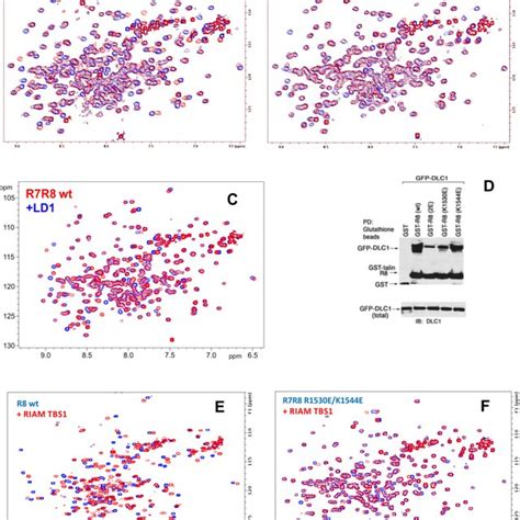 Figure S2 Related To Figures 4 And 5 Point Mutations Disrupt The