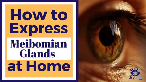 Video On How to do Meibomian Gland Expression Safely - Eye Love