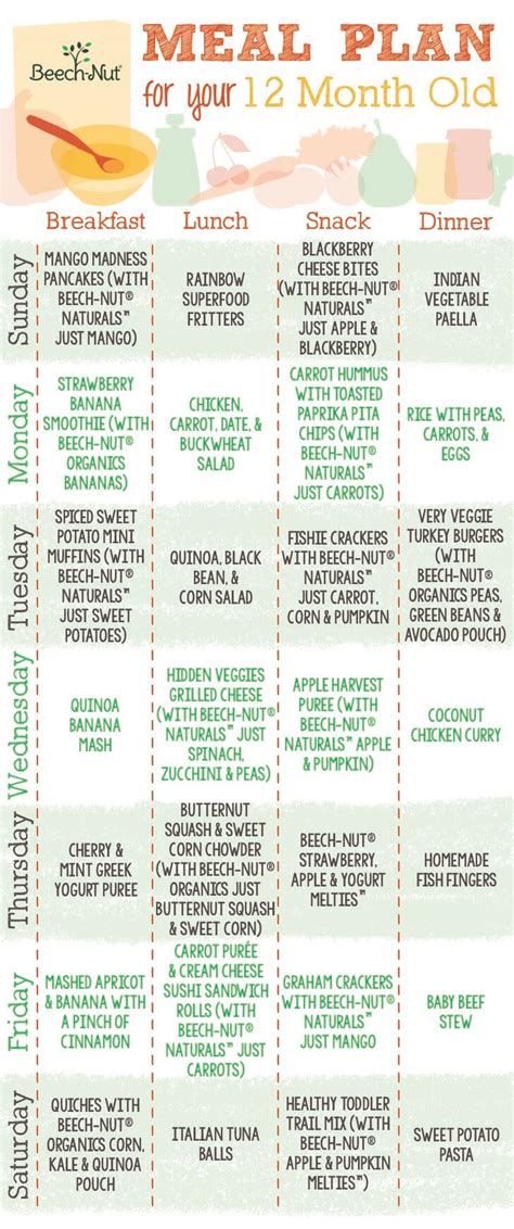 Meal Plan For 12 Month Old Beechnut