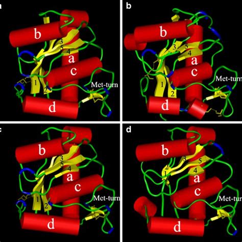 Molecular models of the four groups of C. s. scutulatus... | Download Scientific Diagram