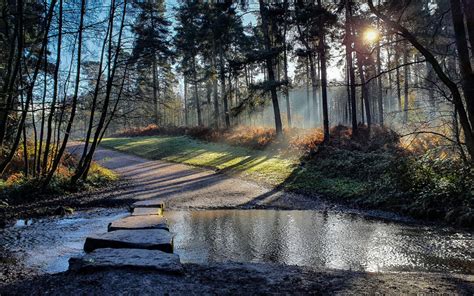 Magic Rides 2 Exploring The Great War At Cannock Chase Nigel Bruce