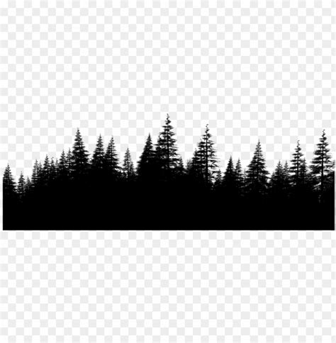 Forest Png File Download Free - Forest Outline PNG Transparent With ...