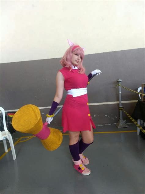 Amy Rose Cosplay Sonic Costume Amy Rose Cosplay