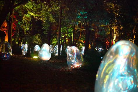 Teamlab Botanical Garden Osaka Teamlab