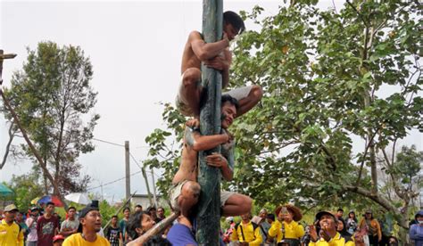 Sejarah Kelam Lomba Panjat Pinang Sampai Tarik Tambang Perlombaan Khas