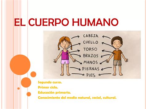 POWER POINT EL CUERPO HUMANO PPT