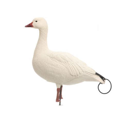 Prairiewind Decoys FREE SHIPPING Snow Goose Decoys Combo 10 Pack