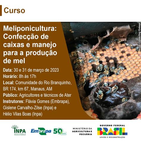 Meliponicultura Confecção de caixas e manejo para a produção de mel