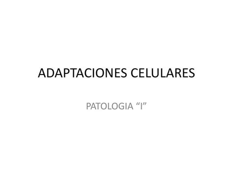 Adaptacion Celular Practica Ramon Carvalho Udocz