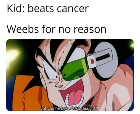 Can He Beat Goku Though R Goodanimemes