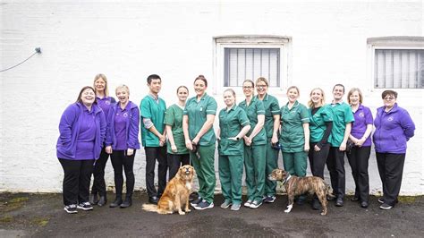 Meet The Team Local Vets In Falkirk Grahams Road Vets