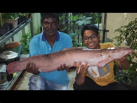 Ditengah Bandar Ada Ikan Sebesar Ini Youtube