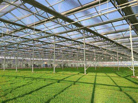 Agricultural Vegetable Multi Span Tunnel Arched Glass Greenhouse With