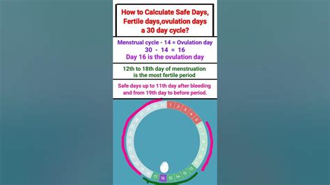 How To Calculate Safe Days Fertile Days Ovulation Days In 30 Day