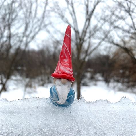 Gnome in the Forest