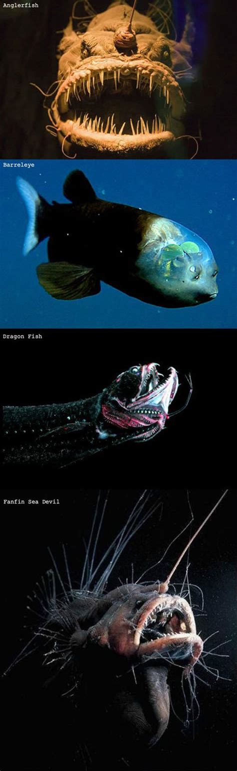 The Ocean Is Scary