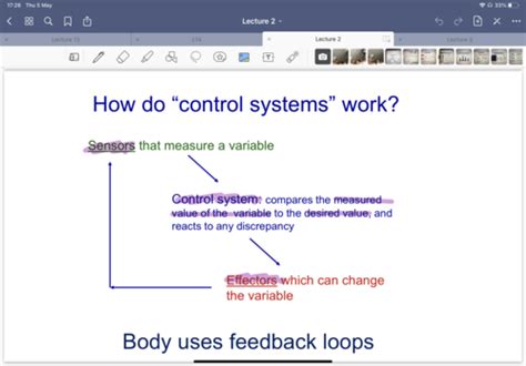 Homeostasis Lectures Flashcards Quizlet