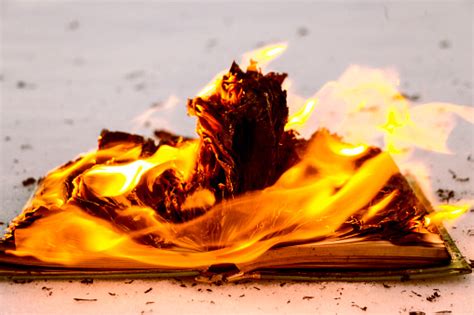 Book Burning Pictures | Download Free Images on Unsplash