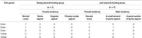 Frontiers Overexpression Of Anti Müllerian Hormone Gene In Vivo