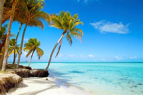 Sprachreisen Spanisch Santiago De Cuba Enforex