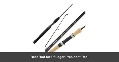 5 Best Rods For Pflueger President Reel Guide 2024 Fishing Papa