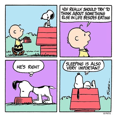 48 8k Likes 2 258 Comments Snoopy And The Peanuts Gang Snoopygrams On Instagram “remember