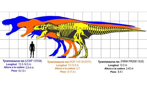 Dinosaurios CarnÍvoros Nombres Tipos Características E Imágenes