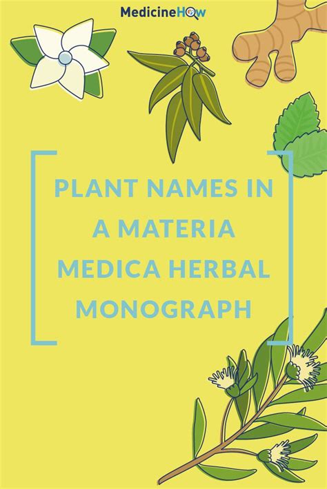 Plant Names In A Materia Medica Herbal Monograph Medicinehow