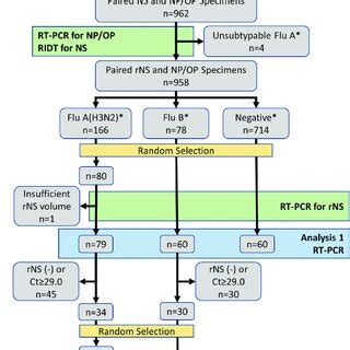 Flow diagram showing selection of specimens for testing and comparison... | Download Scientific ...