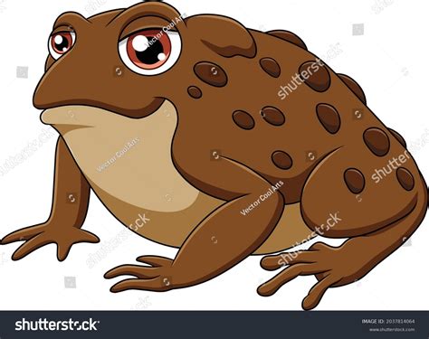 Cute Toad Cartoon Vector Illustration