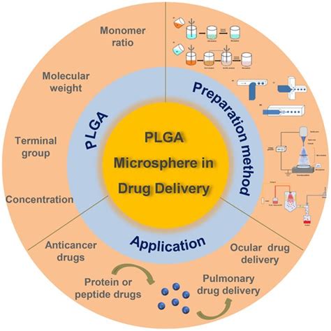 Pdf Plga Based Biodegradable Microspheres In Drug Delivery Recent Advances In Research And