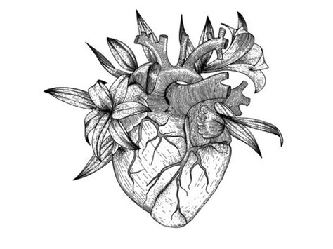 Realistic Heart Coloring Pages