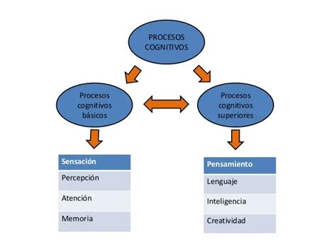 Psicología Cognitiva Procesos Mentales Inferiores Y Superiores Colegio De Psicólogos Sj