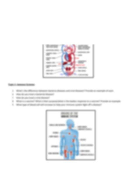 Solution Human Body Systemsstudy Guide Studypool