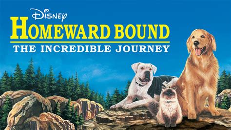 Homeward Bound: The Incredible Journey - Movie - Where To Watch