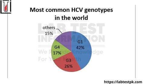 HCV genotyping