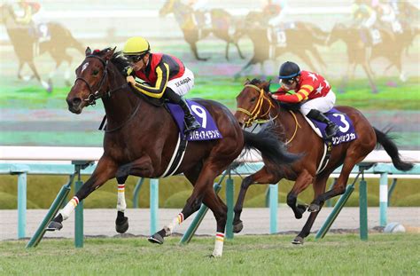 【桜花賞】シンリョクカは緩急“二刀流”どんな流れでも力出せる対応力を検証／水島コラム 水島晴之「g1の鍵 その一瞬」 競馬コラム写真