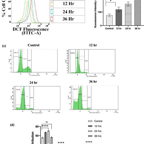 Cs 5 Fu Qct Nps Caused Ros Generation And Arrested Cell Cycle In Hct116 Download Scientific