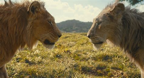 Photo Du Film Mufasa Le Roi Lion Photo Sur Allocin