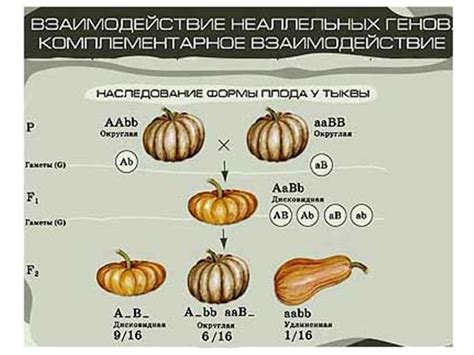 Основы генетики - online presentation
