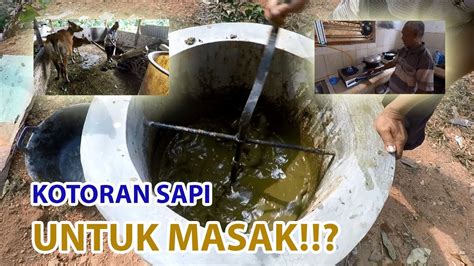 Cara Membuat Biogas Dari Kotoran Sapi Youtube