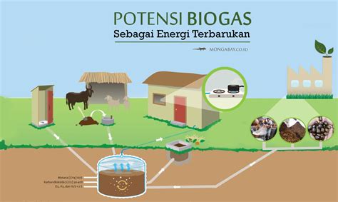 Jenis Bakteri Yang Dimanfaatkan Untuk Pembuatan Biogas The Best Porn