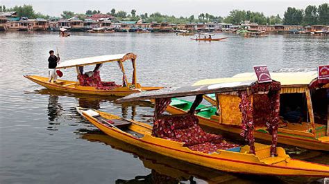 Merger Of Jammu And Kashmir Is Not Known Fate Of Princely States And Power Sharing Agreements